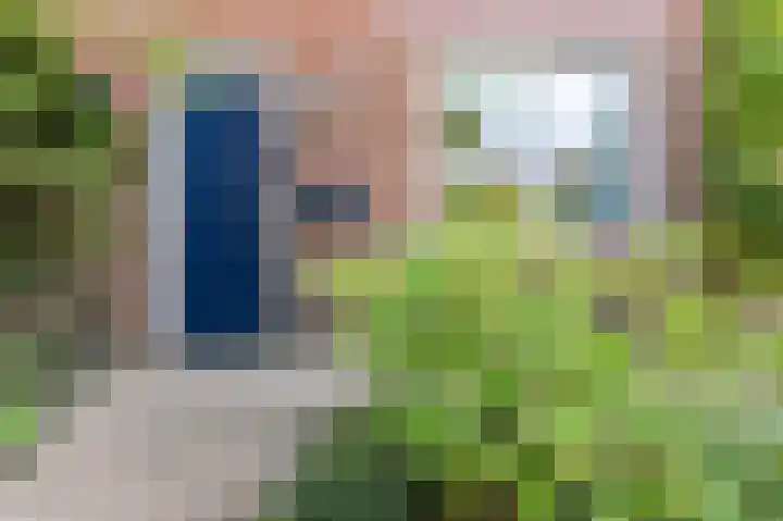 Dotterbloem 14 Oude Wetering thumbnail 7