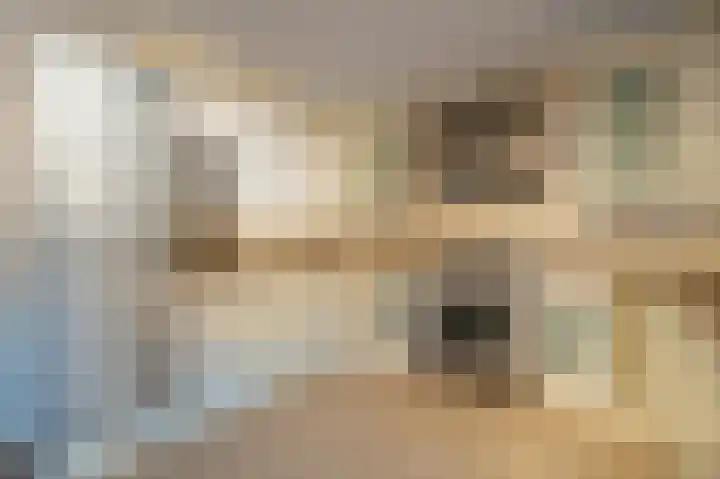 Dotterbloem 14 Papendrecht thumbnail 10