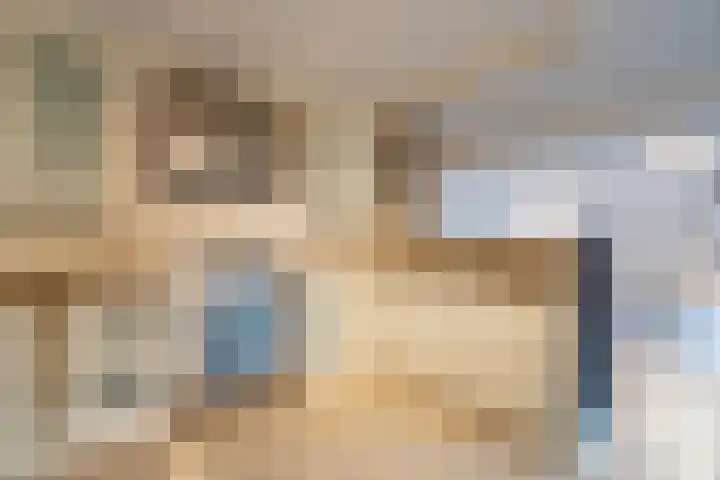 Dotterbloem 14 Papendrecht thumbnail 11