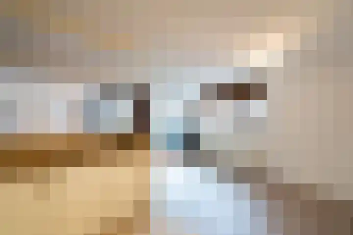 Dotterbloem 14 Papendrecht thumbnail 12