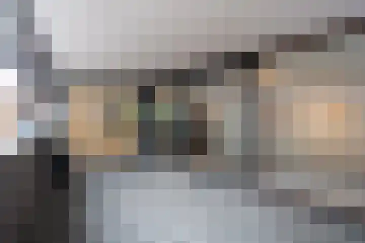 Dotterbloem 14 Papendrecht thumbnail 13