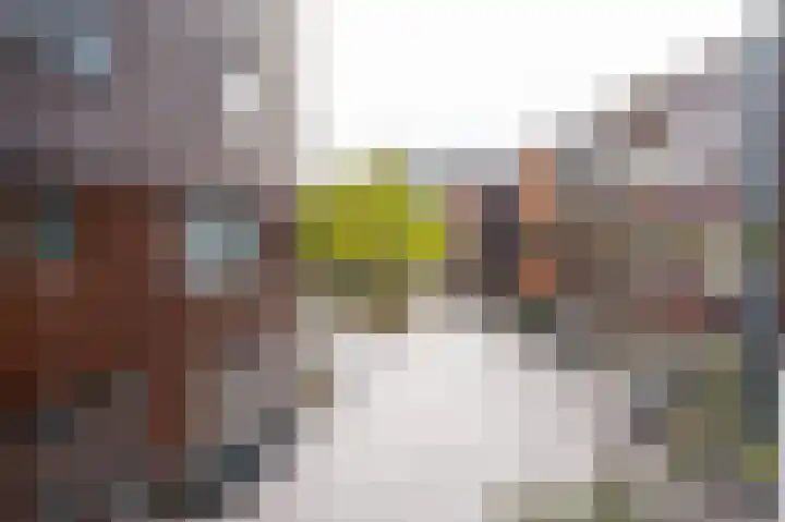 Dotterbloem 14 Papendrecht thumbnail 14