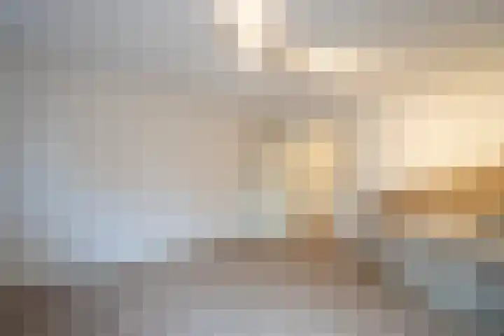 Dotterbloem 14 Papendrecht thumbnail 17