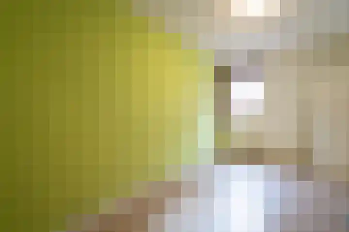 Dotterbloem 14 Papendrecht thumbnail 19