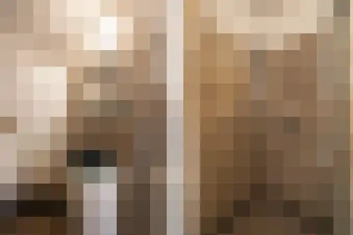 Dotterbloem 14 Papendrecht thumbnail 22