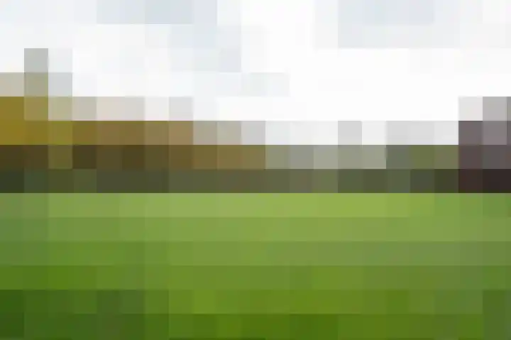 Dotterbloem 14 Papendrecht thumbnail 27