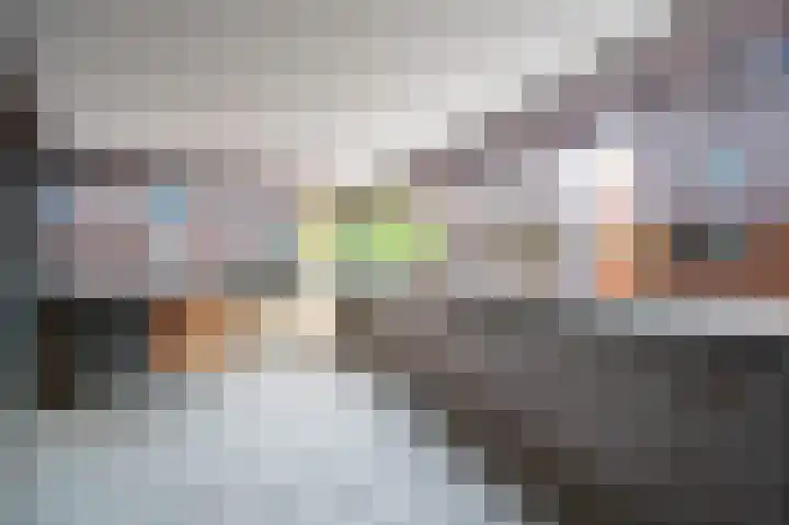 Dotterbloem 14 Papendrecht thumbnail 4