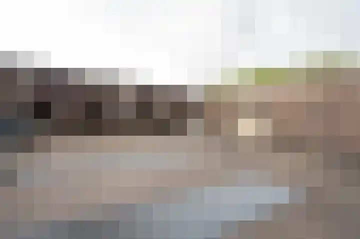 Dotterbloem 14 Papendrecht thumbnail 5