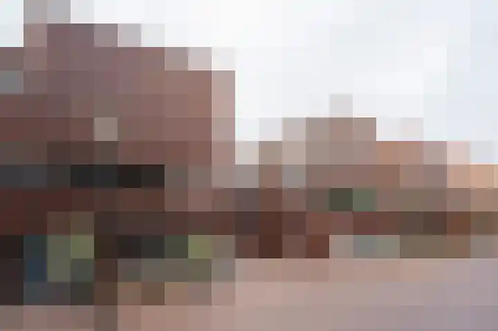 Dotterbloem 14 Papendrecht thumbnail 6