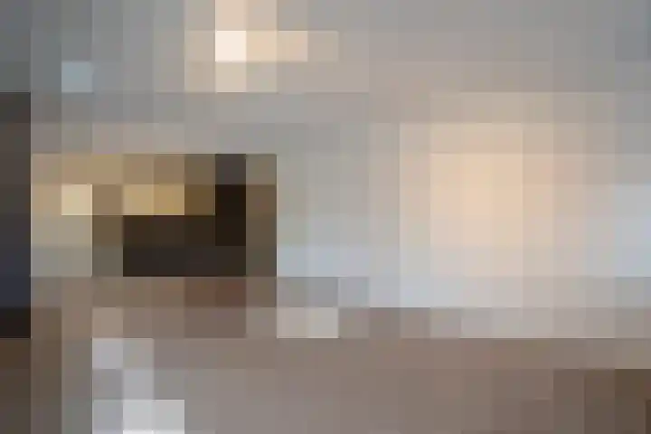 Dotterbloem 14 Papendrecht thumbnail 8