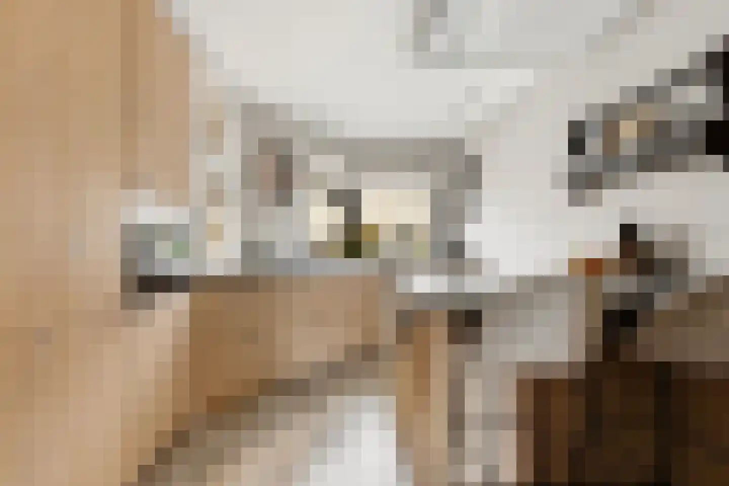 Dotterbloem 15 Nieuw-Lekkerland thumbnail 12