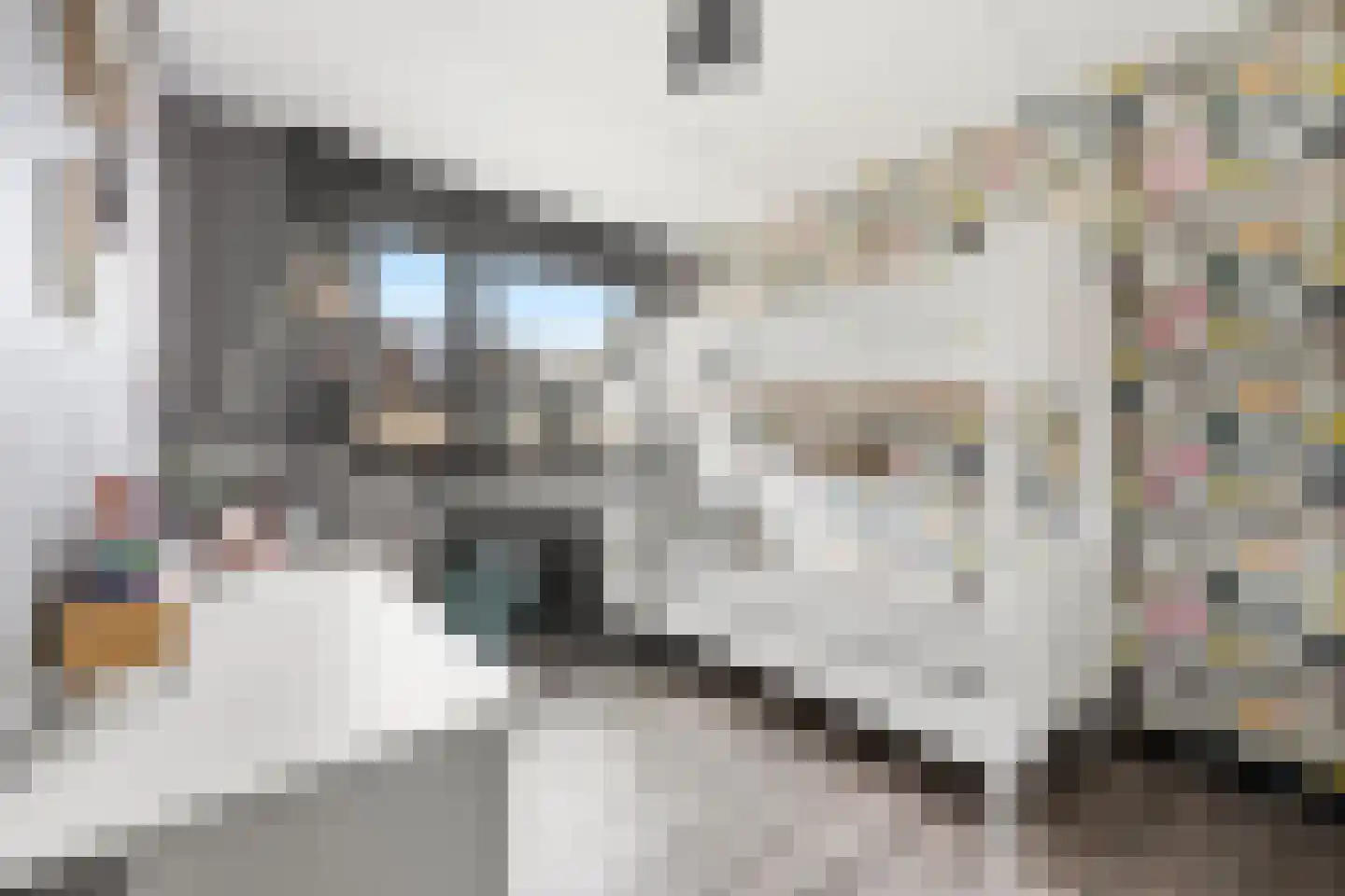 Dotterbloem 15 Nieuw-Lekkerland thumbnail 19