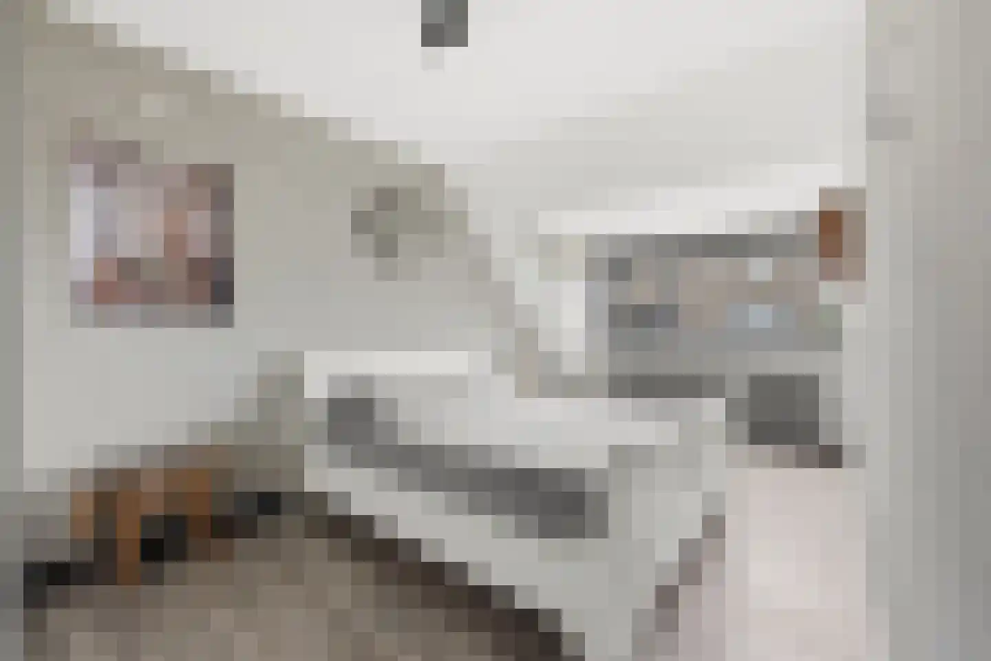 Dotterbloem 15 Nieuw-Lekkerland thumbnail 21