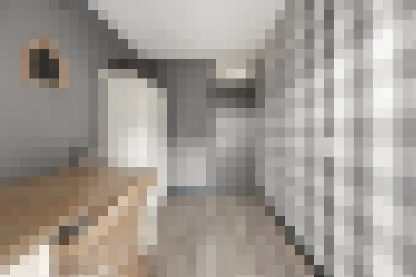 Dotterbloem 15 Nieuw-Lekkerland thumbnail 24