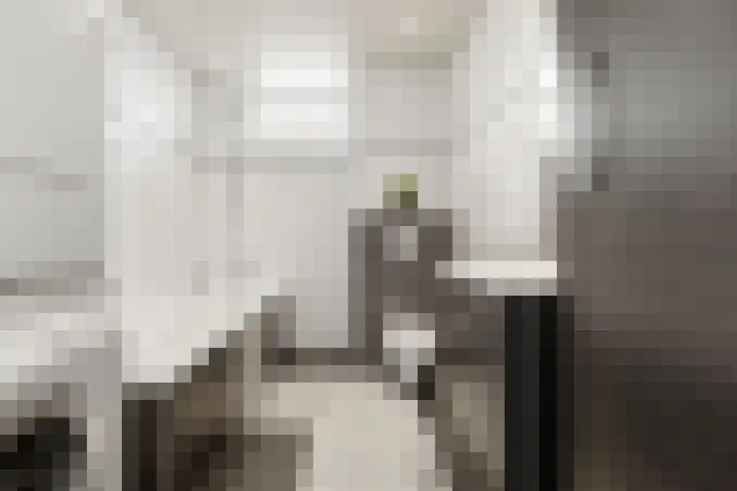 Dotterbloem 15 Nieuw-Lekkerland thumbnail 25