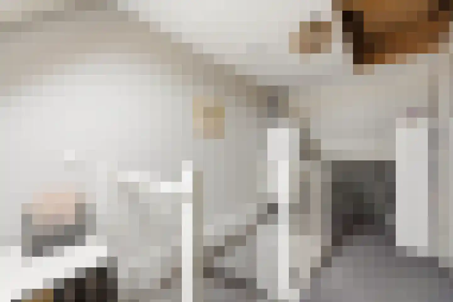 Dotterbloem 15 Nieuw-Lekkerland thumbnail 28