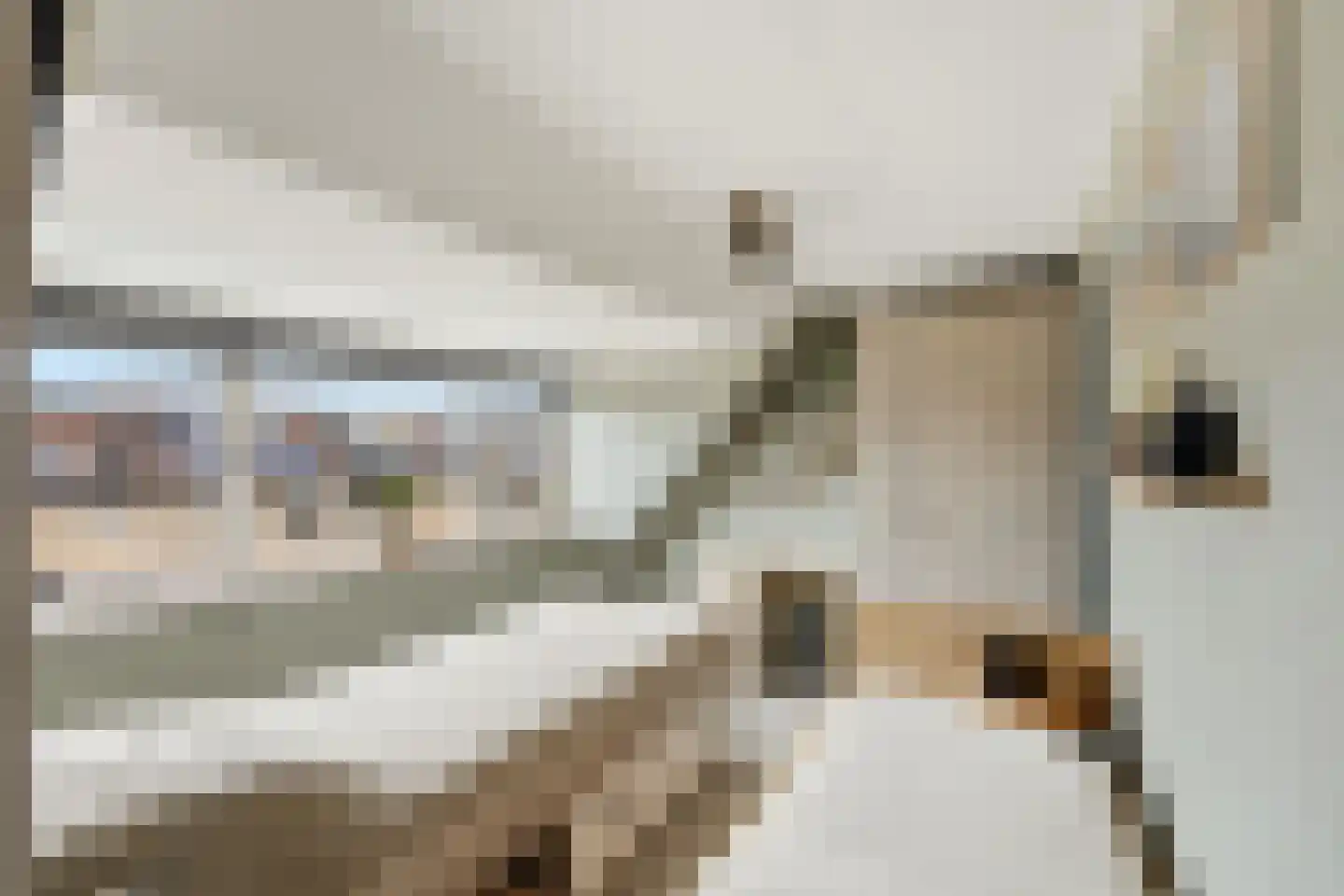 Dotterbloem 15 Nieuw-Lekkerland thumbnail 30