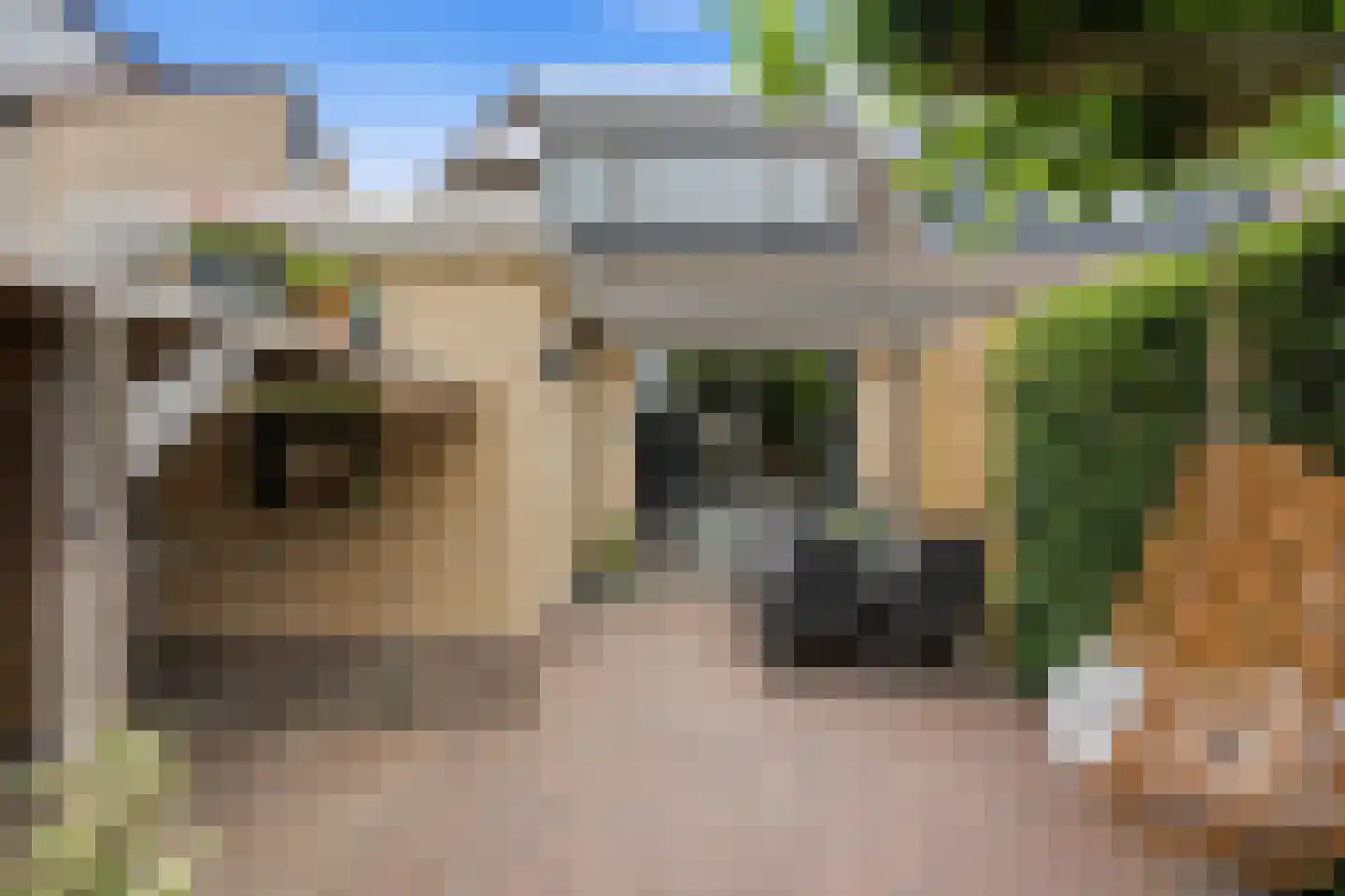 Dotterbloem 15 Nieuw-Lekkerland thumbnail 33