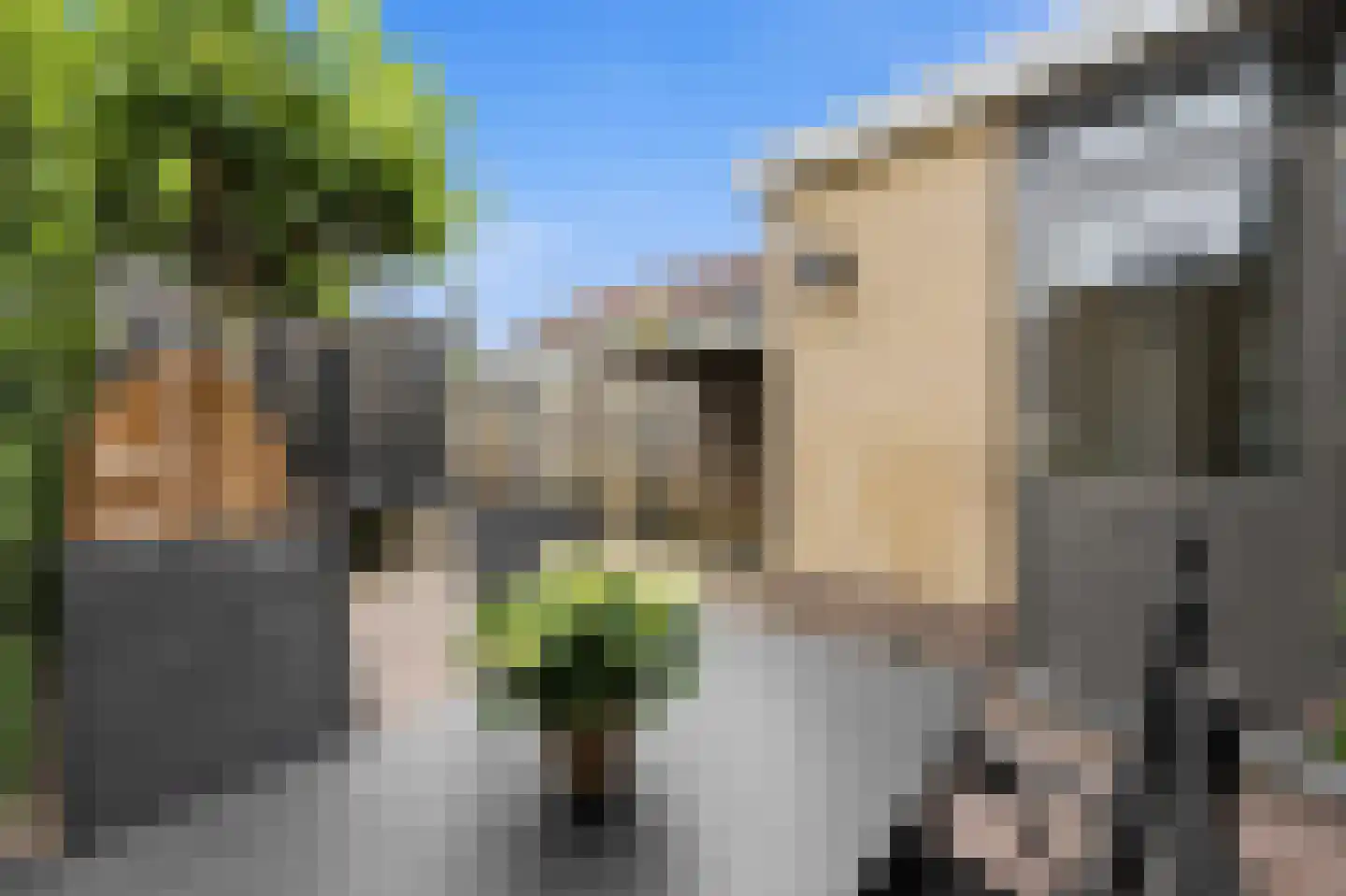 Dotterbloem 15 Nieuw-Lekkerland thumbnail 34