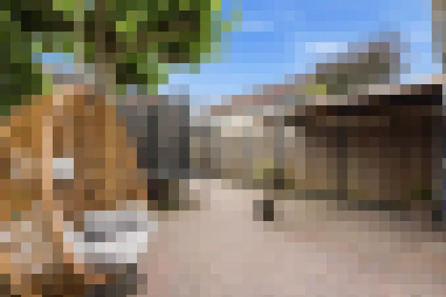 Dotterbloem 15 Nieuw-Lekkerland thumbnail 35