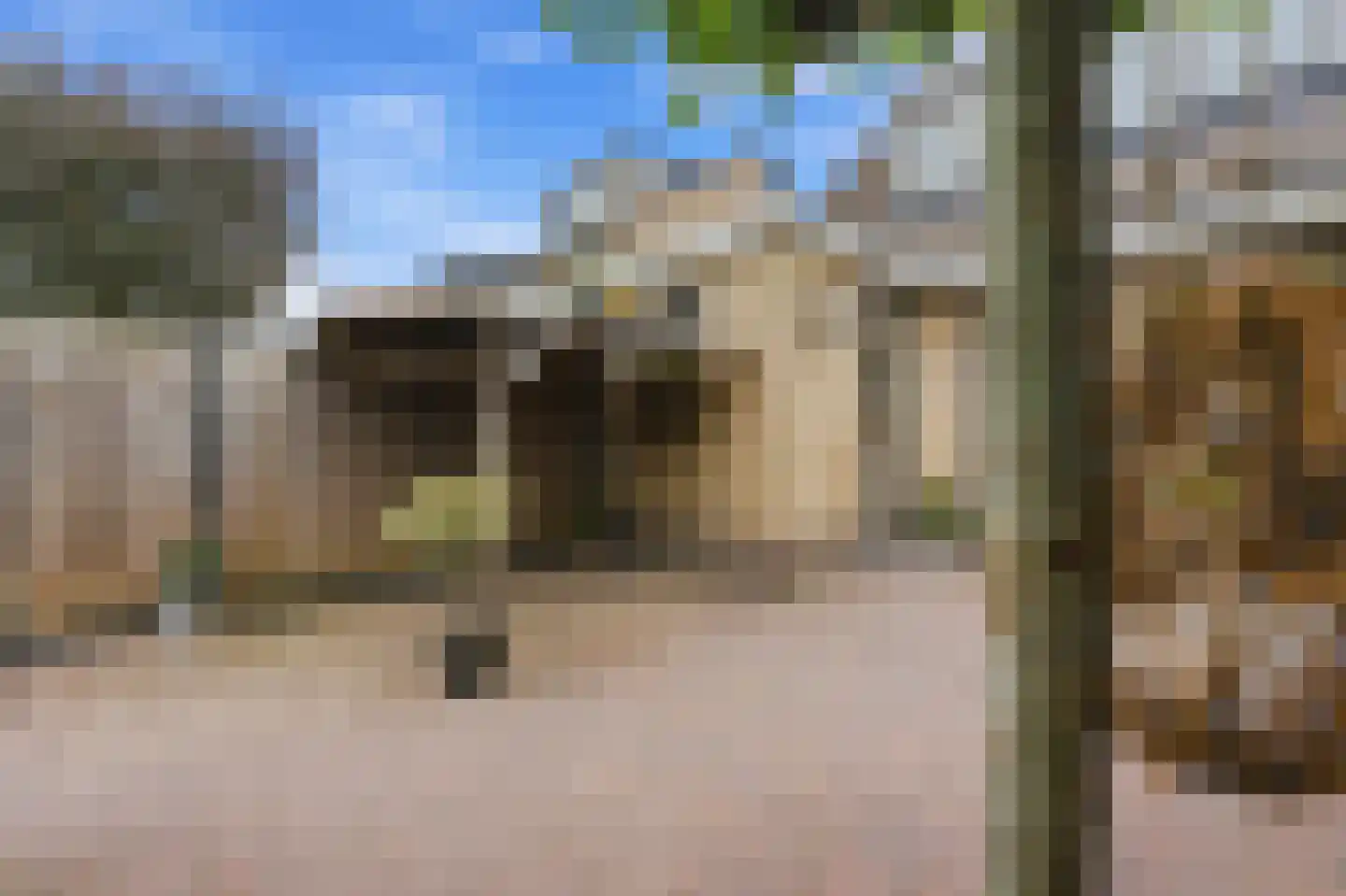 Dotterbloem 15 Nieuw-Lekkerland thumbnail 37