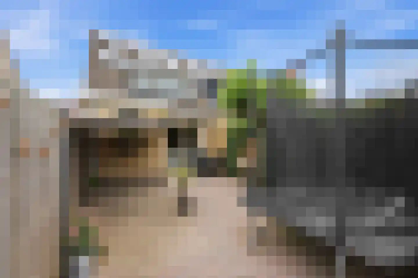 Dotterbloem 15 Nieuw-Lekkerland thumbnail 38