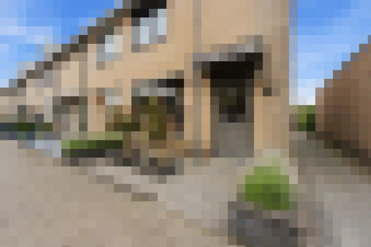 Dotterbloem 15 Nieuw-Lekkerland thumbnail 39