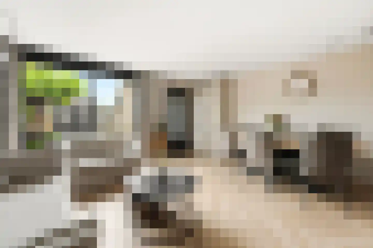 Dotterbloem 15 Nieuw-Lekkerland thumbnail 4