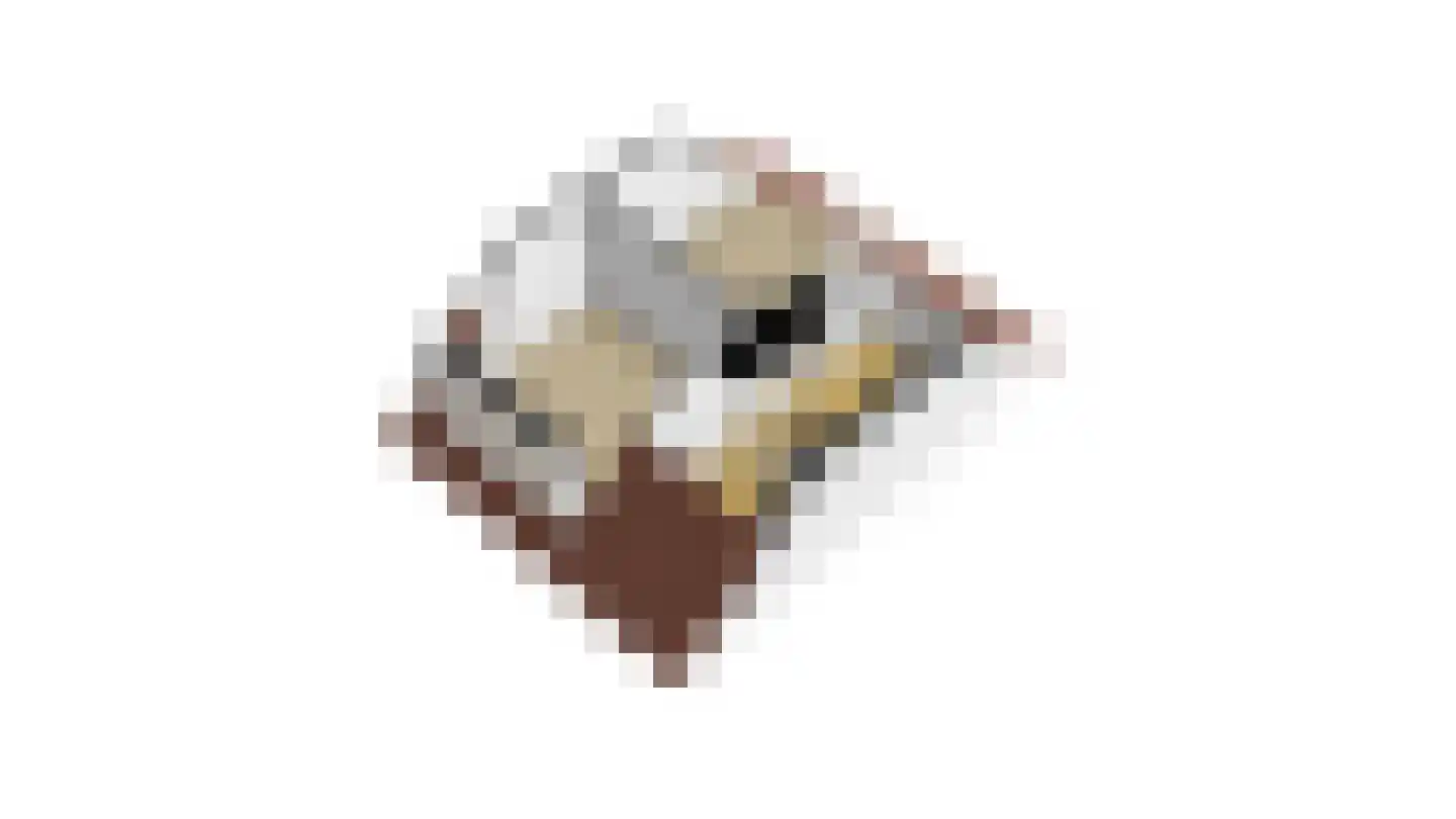 Dotterbloem 15 Nieuw-Lekkerland thumbnail 48