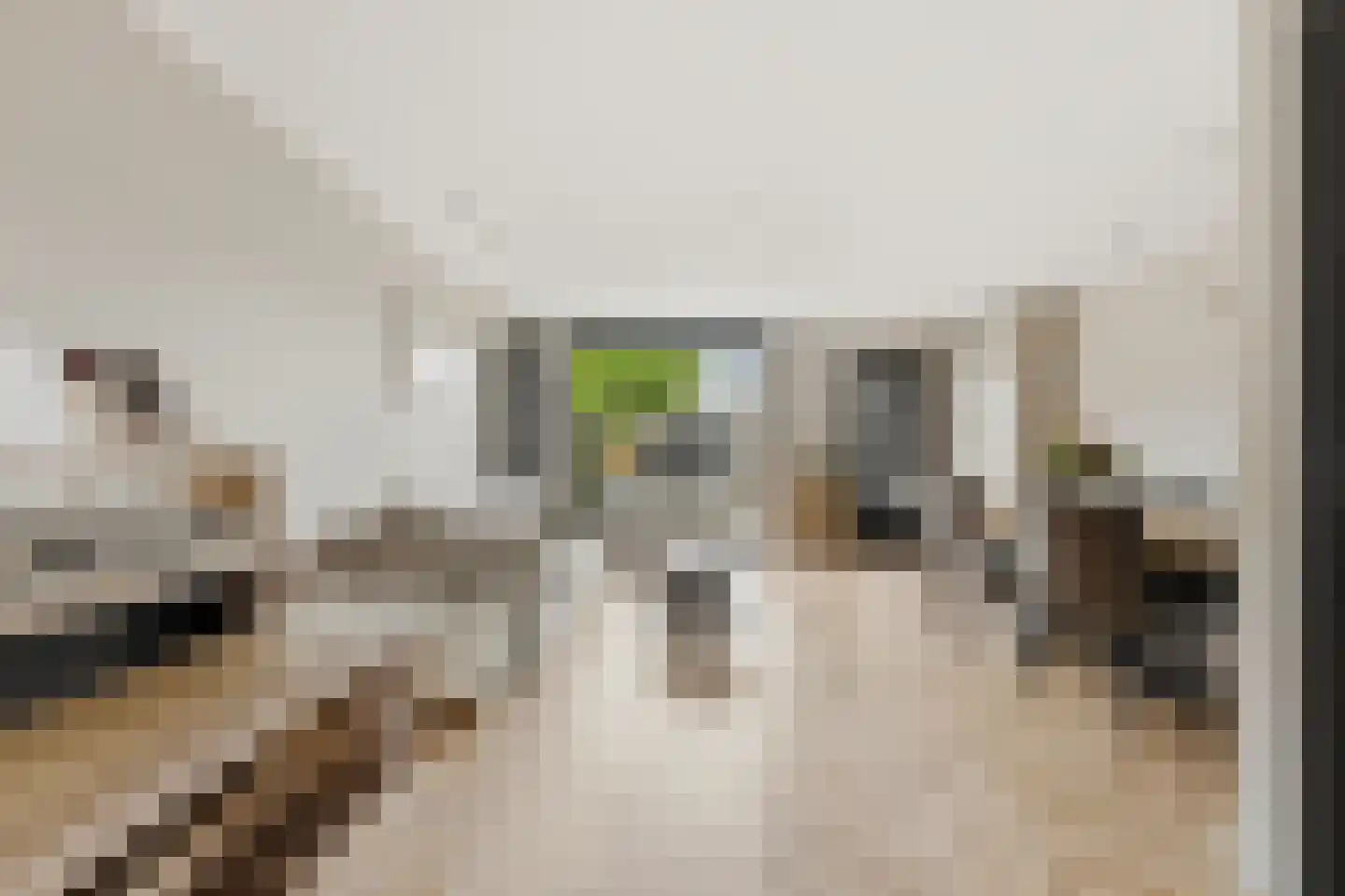 Dotterbloem 15 Nieuw-Lekkerland thumbnail 5