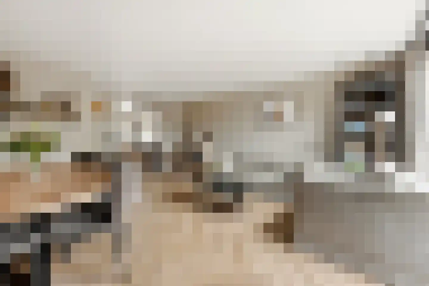 Dotterbloem 15 Nieuw-Lekkerland thumbnail 6
