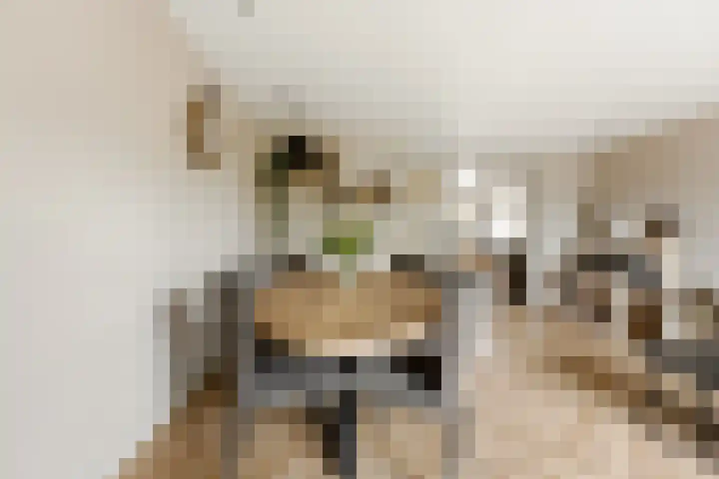 Dotterbloem 15 Nieuw-Lekkerland thumbnail 9