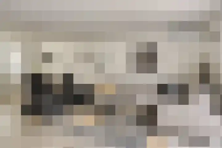 Dotterbloem 16 Hendrik-Ido-Ambacht thumbnail 5