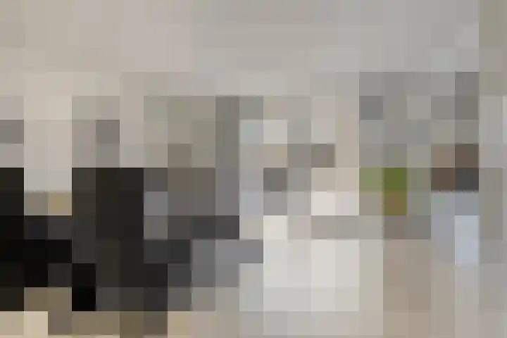 Dotterbloem 16 Hendrik-Ido-Ambacht thumbnail 7
