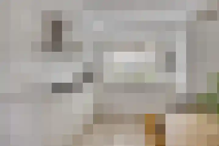 Dotterbloem 16 Hendrik-Ido-Ambacht thumbnail 9