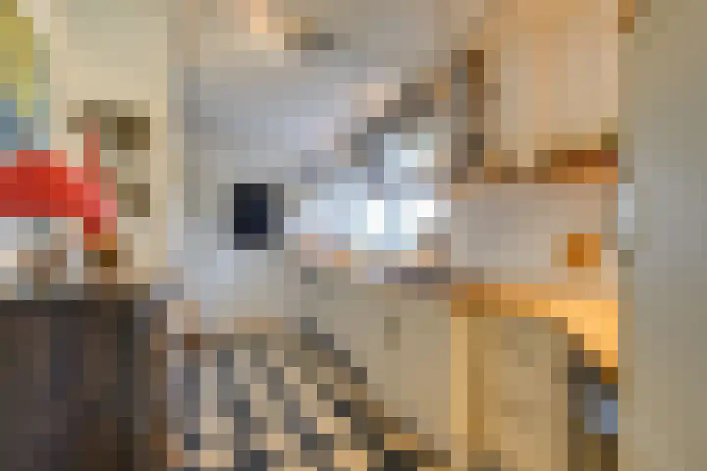 Dotterbloem 17 Leiden thumbnail 14