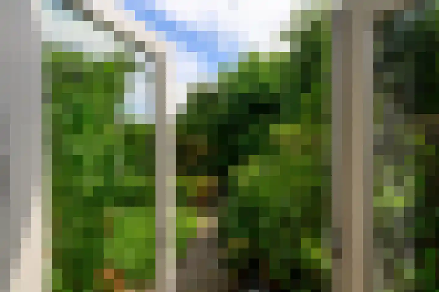 Dotterbloem 17 Leiden thumbnail 18