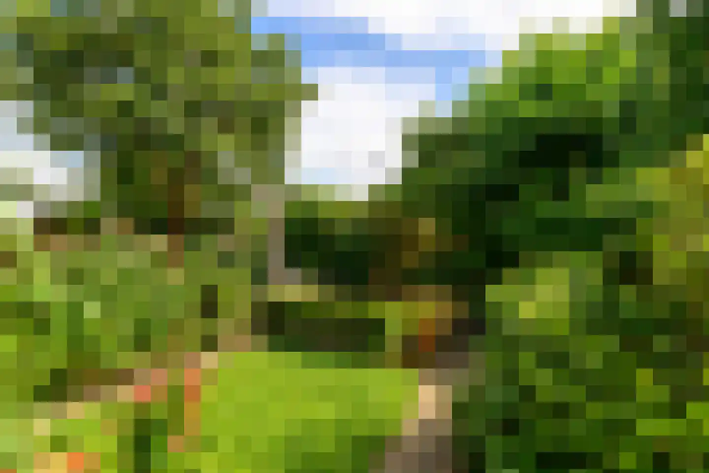 Dotterbloem 17 Leiden thumbnail 19