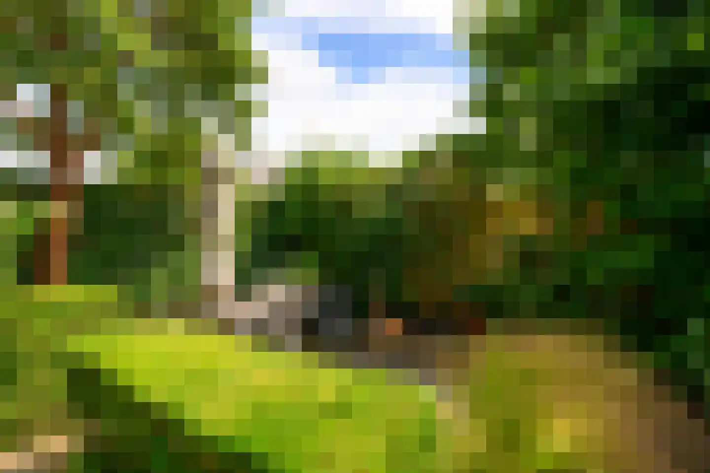 Dotterbloem 17 Leiden thumbnail 21