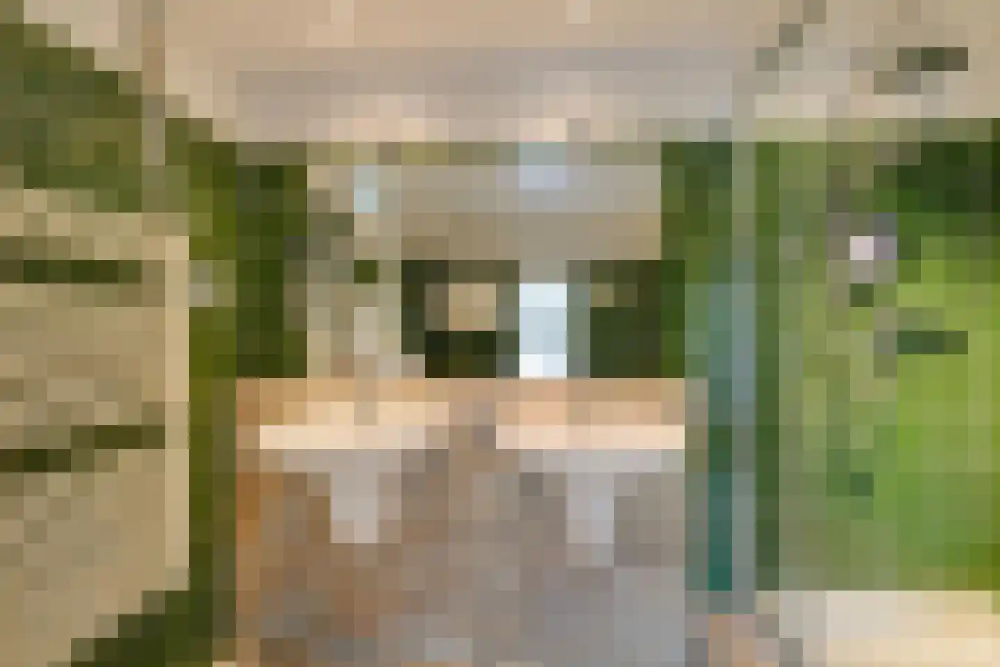 Dotterbloem 17 Leiden thumbnail 34