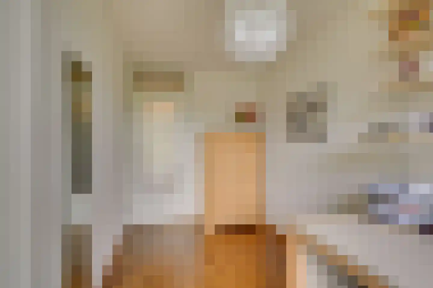 Dotterbloem 17 Leiden thumbnail 37