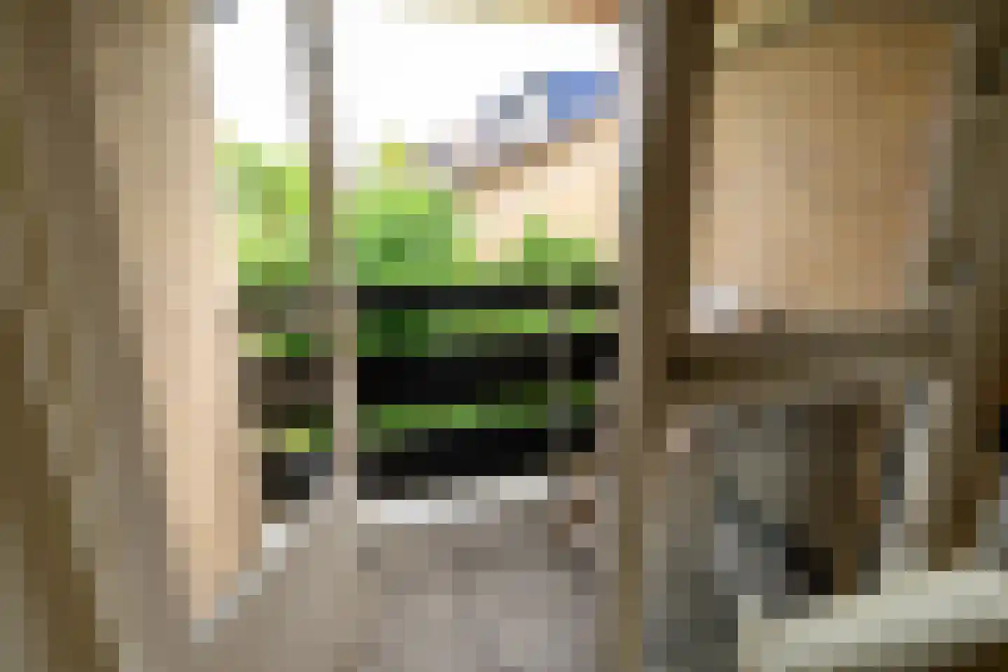 Dotterbloem 17 Leiden thumbnail 40