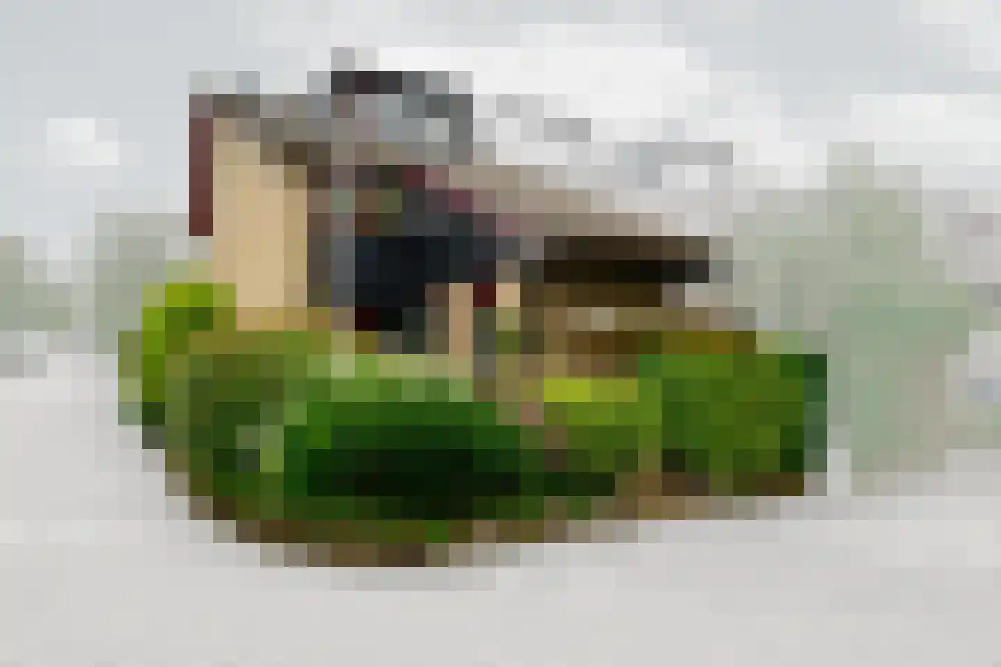 Dotterbloem 17 Leiden thumbnail 52