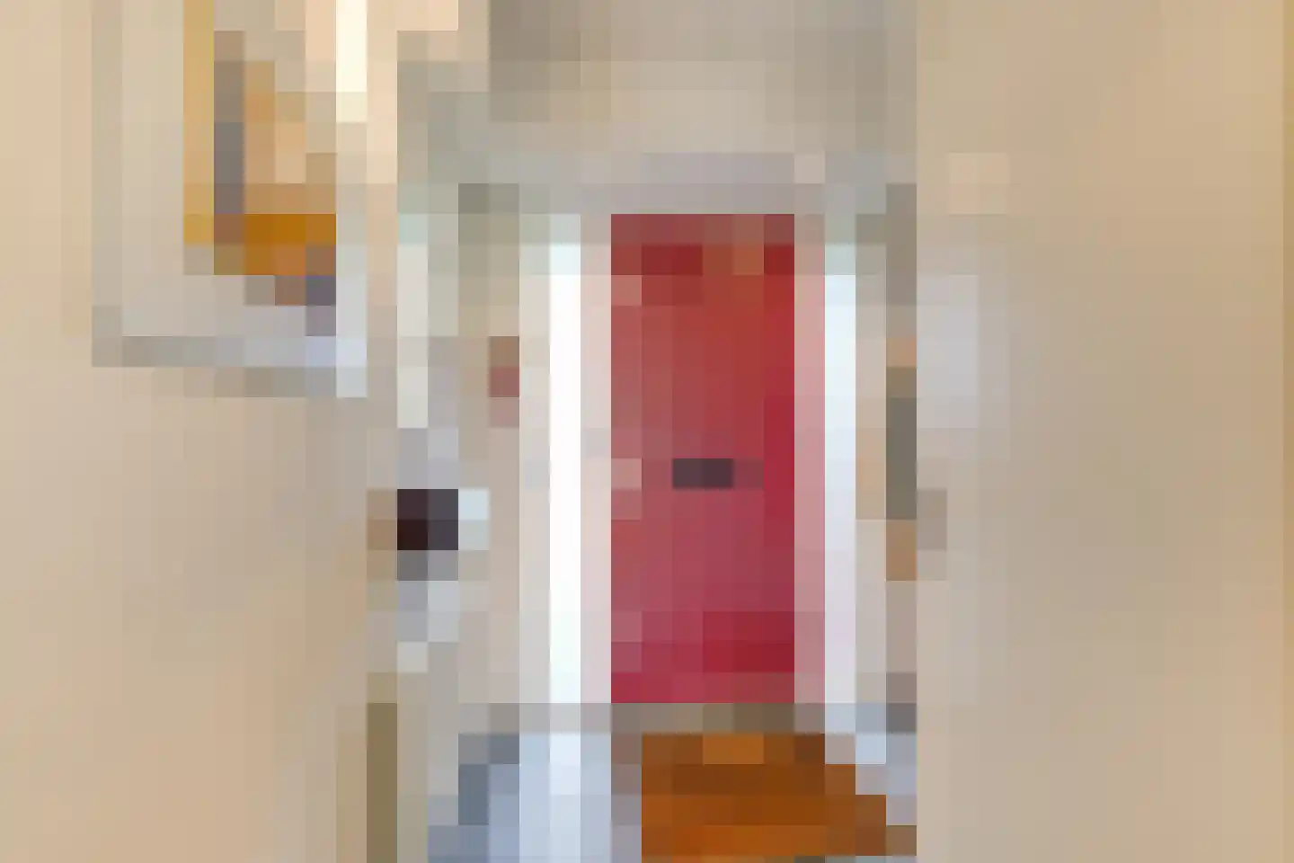 Dotterbloem 17 Leiden thumbnail 7
