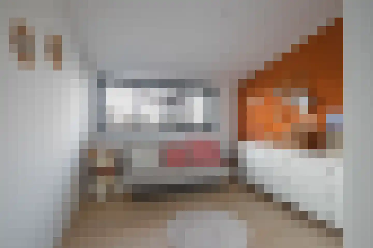 Dotterbloem 19 Eijsden thumbnail 16