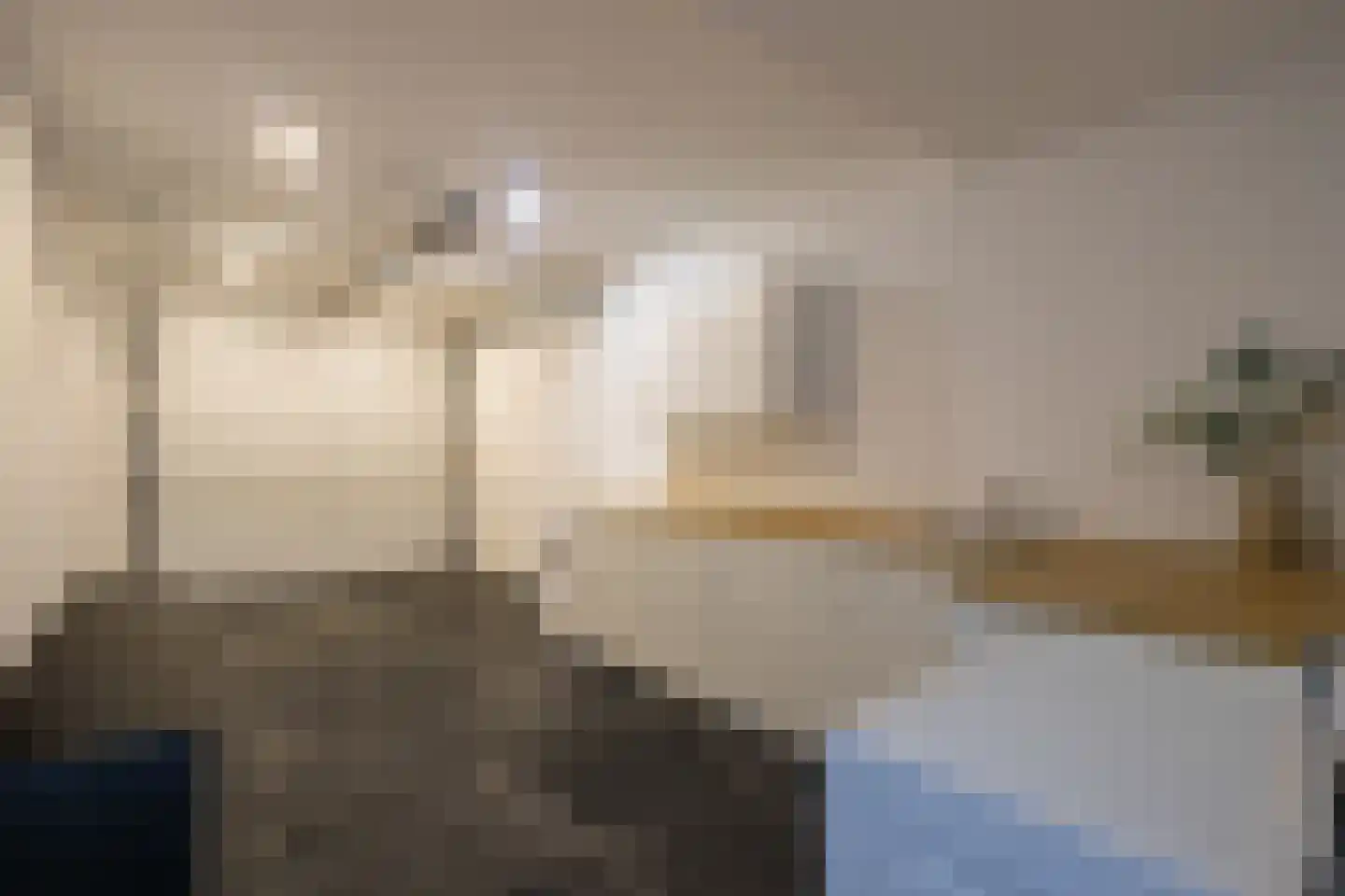 Dotterbloem 19 Eijsden thumbnail 24