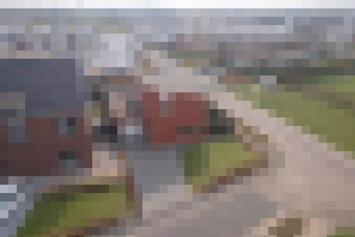 Dotterbloem 19 Eijsden thumbnail 31