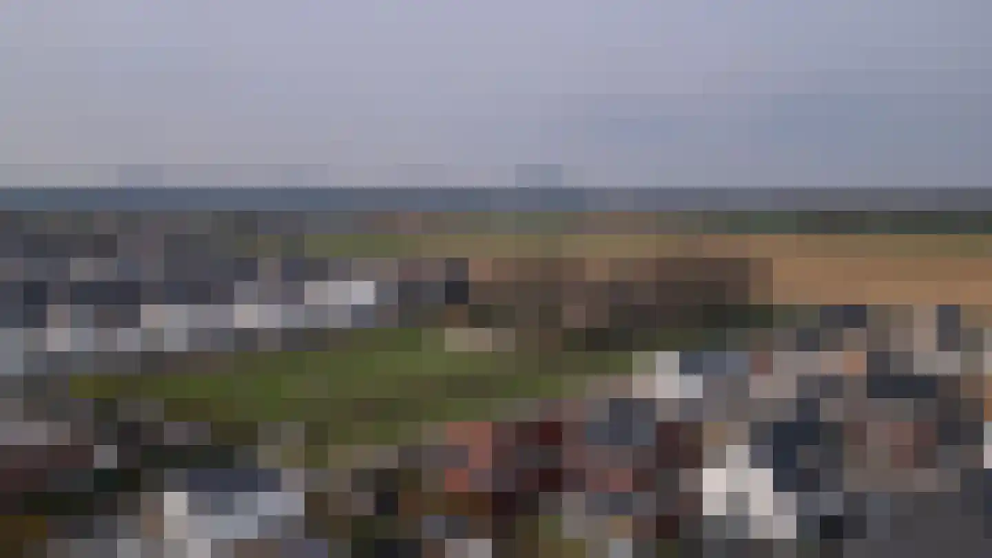 Dotterbloem 19 Eijsden thumbnail 33