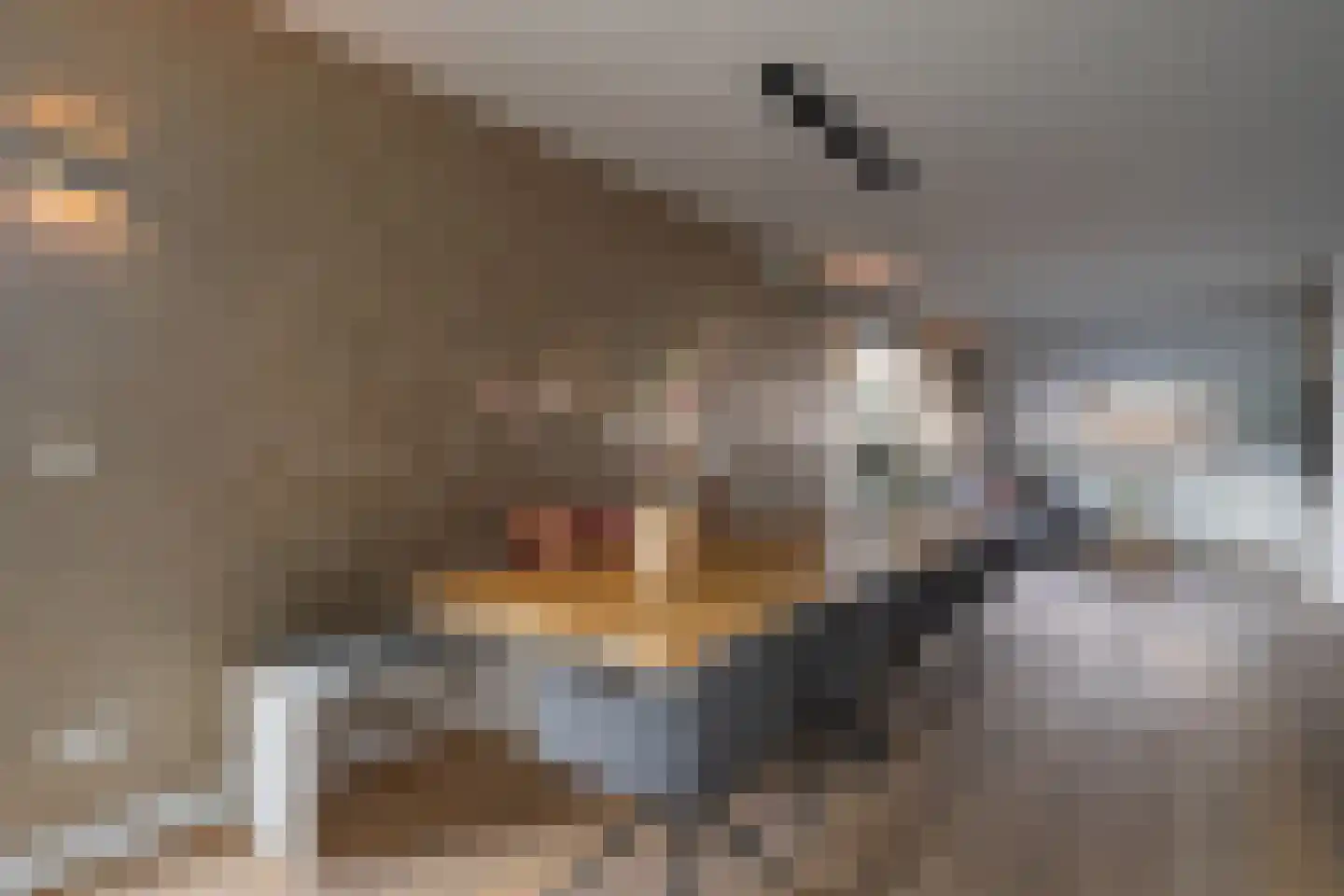 Dotterbloem 19 Eijsden thumbnail 8