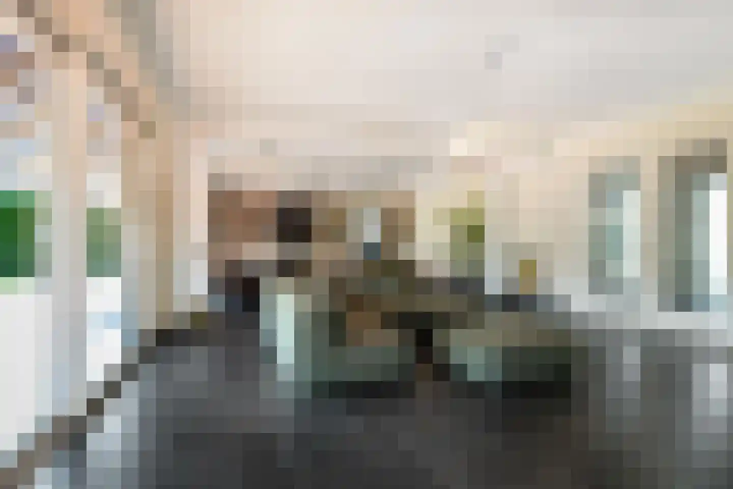 Dotterbloem 2 Leek thumbnail 10